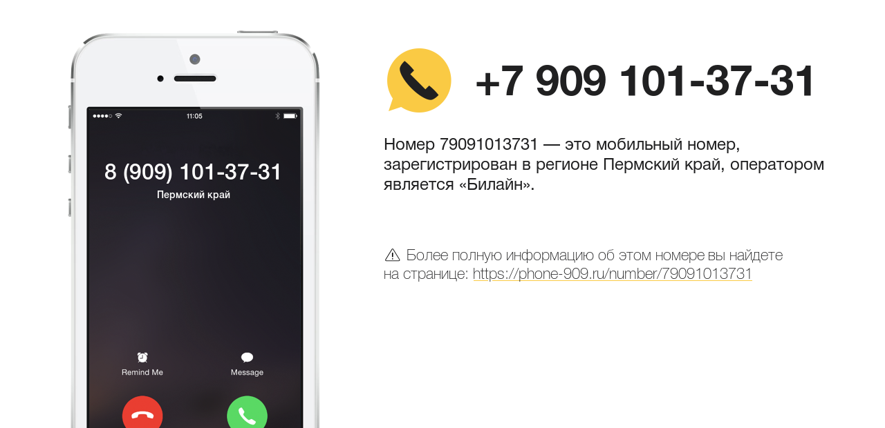 Номер телефона 8 (909) 101-37-31