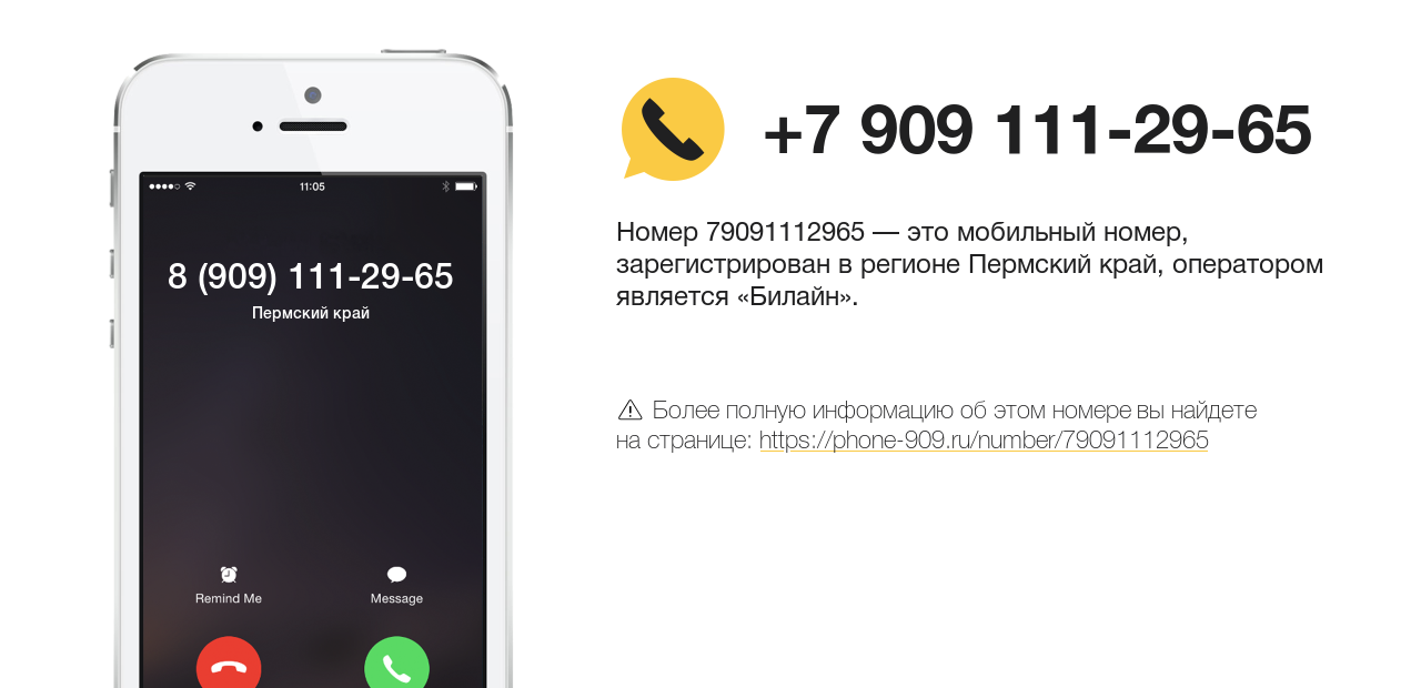 Номер телефона 8 (909) 111-29-65