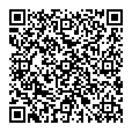 vCard 79090000217