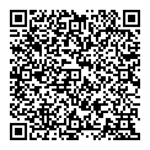 vCard 79090325333