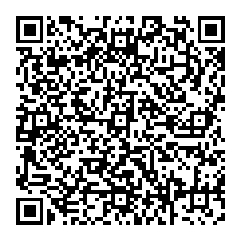 vCard 79090384727