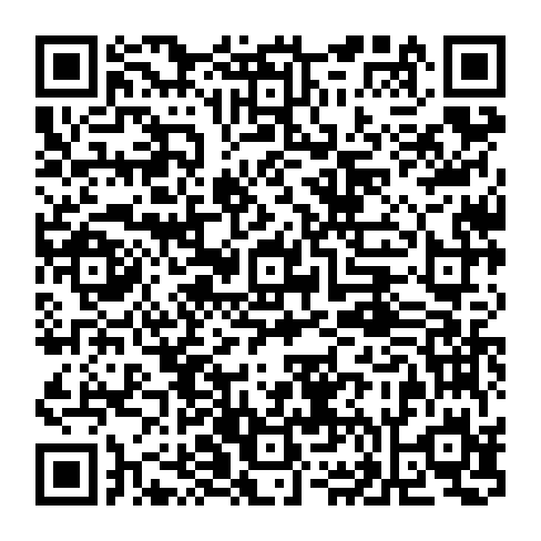 vCard 79090385171