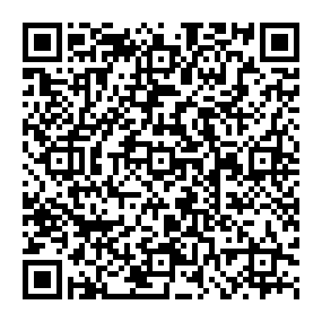 vCard 79090590177