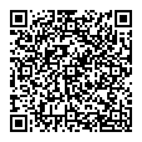 vCard 79090590803