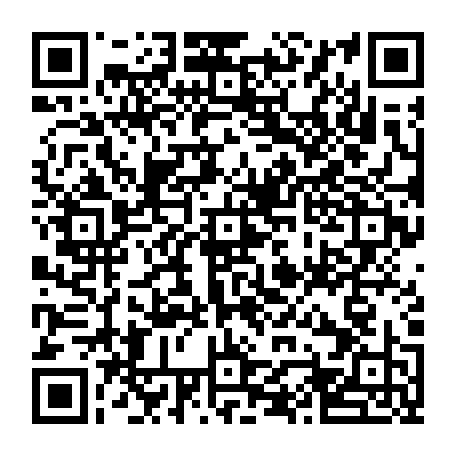 vCard 79090591533
