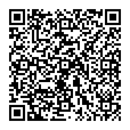 vCard 79090704003