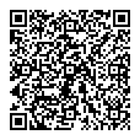 vCard 79090800011