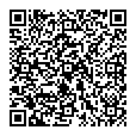 vCard 79090800021