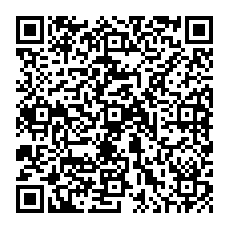 vCard 79090850003