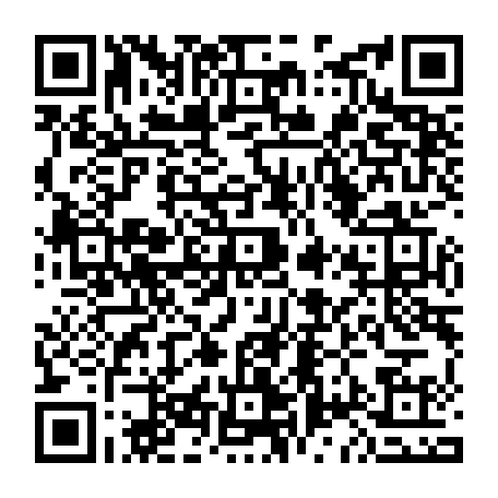 vCard 79090004035