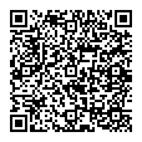 vCard 79090004211