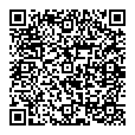 vCard 79090010380