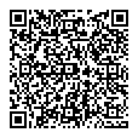 vCard 79090010541