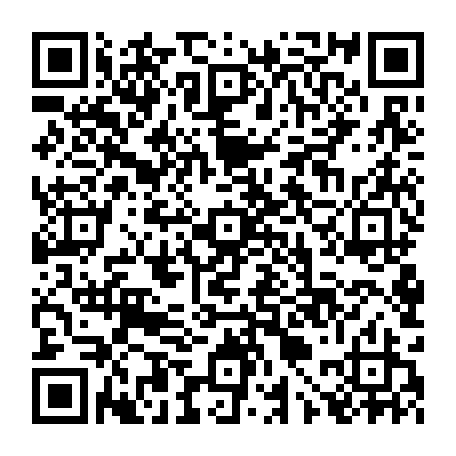 vCard 79090017313