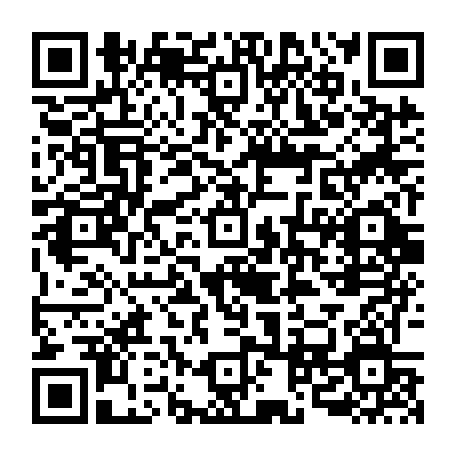 vCard 79090017333