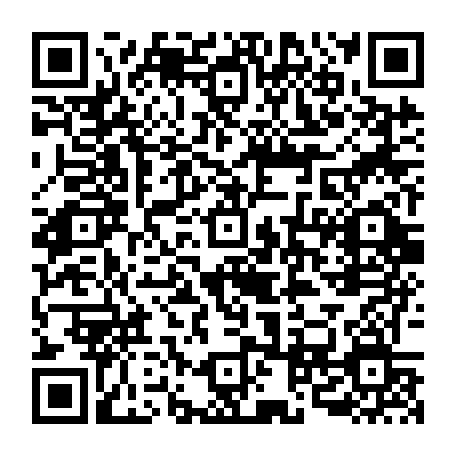 vCard 79090017337