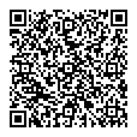 vCard 79090017410