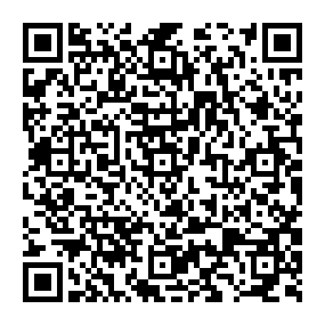 vCard 79090017413