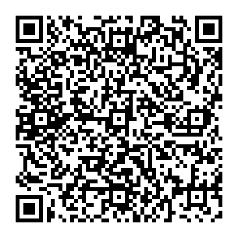 vCard 79090400017