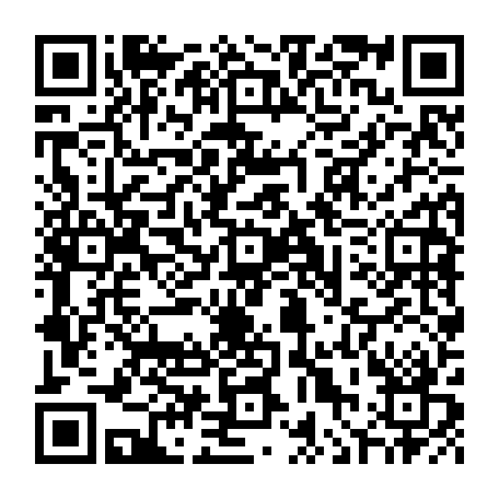 vCard 79090700804