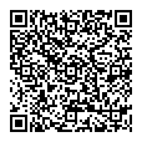 vCard 79091217333