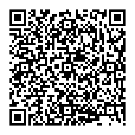 vCard 79091733177